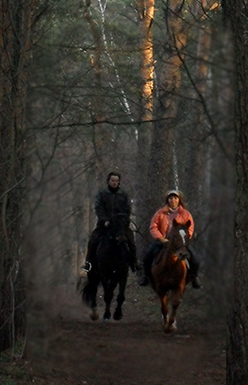 Конные прогулки для двоих в Москве по записи в сосновом лесу 