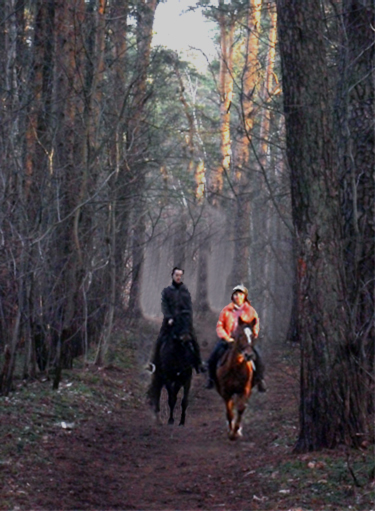 Конные прогулки для двоих в Москве по записи в сосновом лесу 