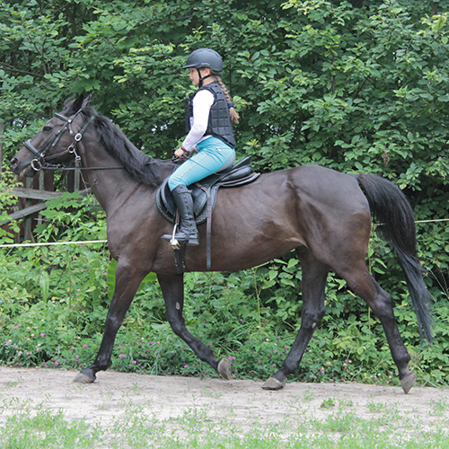 Индивидуальные занятия для детей по верховой езде на лошади