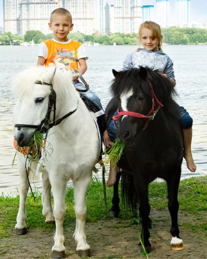Катание детей на пони в Строгино в парке 