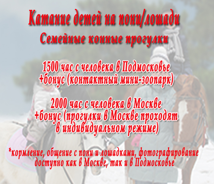 Цены на катание детей на пони и/или лошади в Москве и в Подмосковье