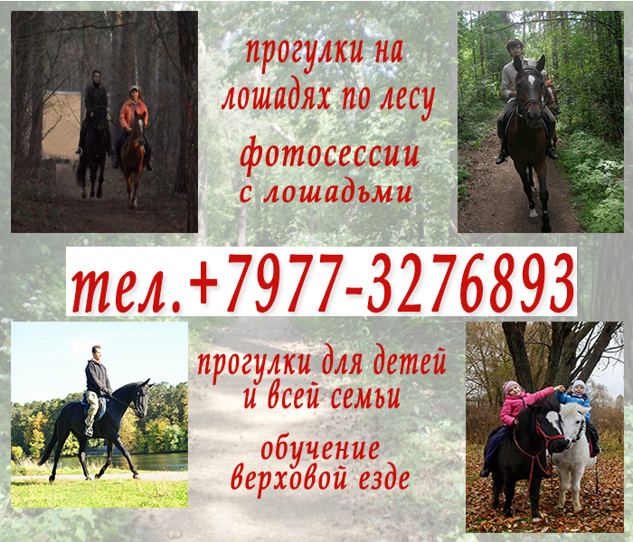 Конные прогулки, общение с лошадьми, обучение верховой езде, фотосессии