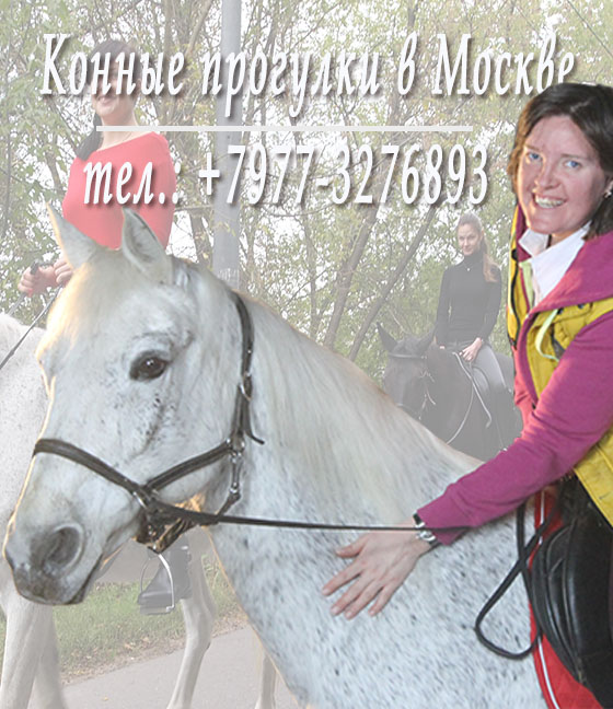 Чтобы покататься на лошади, звоните, пожалуйста, +7977-3276893