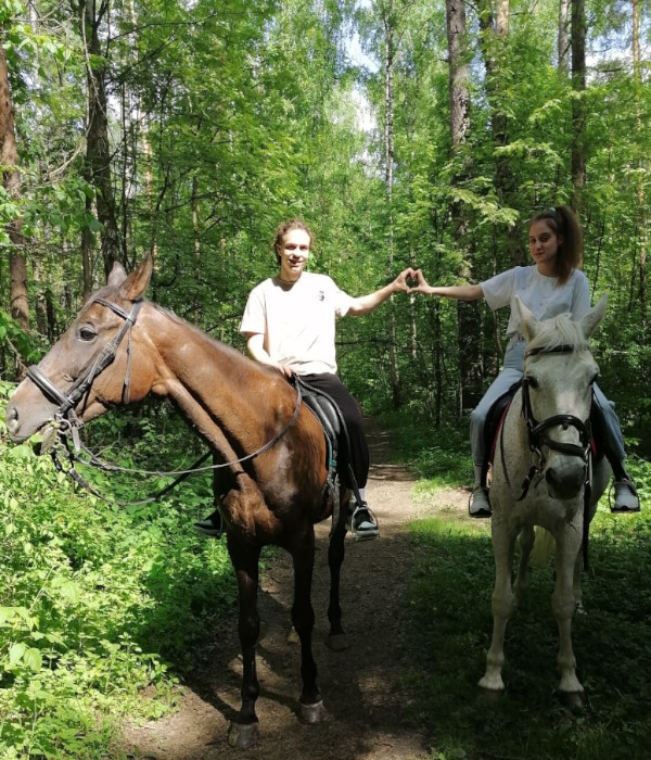 На фотографии девушка и молодой человек на лошадях в лесу. Протянули друг другу руки, соединив их, сделали сердечко.